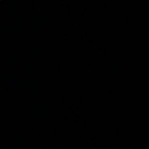 Meet your Posher, Kam